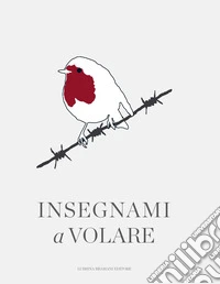Insegnami a volare