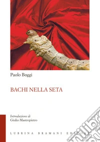 Bachi nella seta