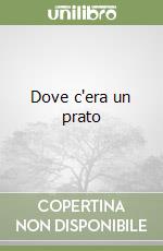 Dove c'era un prato libro