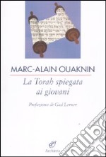 La Torah spiegata ai giovani libro