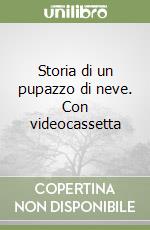 Storia di un pupazzo di neve. Con videocassetta libro