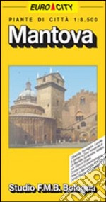 Mantova 1:8.500 libro