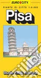 Pisa 1:10.000