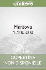 Mantova 1:100.000 libro