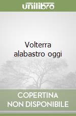 Volterra alabastro oggi libro