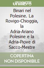 Binari nel Polesine. La Rovigo-Chioggia, la Adria-Ariano Polesine e la Adria-Piove di Sacco-Mestre libro