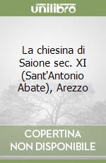 La chiesina di Saione sec. XI (Sant'Antonio Abate), Arezzo libro