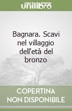 Bagnara. Scavi nel villaggio dell'età del bronzo