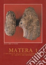 Matera. Vol. 1: I giacimenti paleolitici e la stratigrafia di Grotta dei Pipistrelli libro