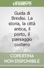 Guida di Brindisi. La storia, la città antica, il porto, il paesaggio costiero libro