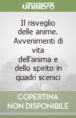 Il risveglio delle anime. Avvenimenti di vita dell'anima e dello spirito in quadri scenici libro