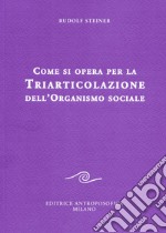 Come si opera per la triarticolazione dell'organismo sociale. Corso per oratori libro