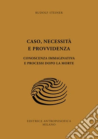 Caso, necessità e provvidenza. Conoscenza immaginativa e processi dopo la morte libro