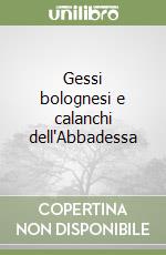 Gessi bolognesi e calanchi dell'Abbadessa libro