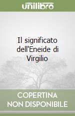Il significato dell'Eneide di Virgilio libro