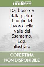 Dal bosco e dalla pietra. Luoghi del lavoro nella valle del Ssanterno. Ediz. illustrata