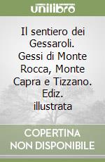 Il sentiero dei Gessaroli. Gessi di Monte Rocca, Monte Capra e Tizzano. Ediz. illustrata libro