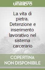 La vita di pietra. Detenzione e inserimento lavorativo nel sistema carcerario libro