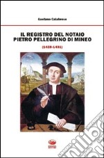 Il registro del notaio Pietro Pellegrino di Mineo (1428-1431)