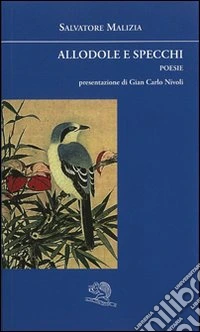 Allodole e specchi libro