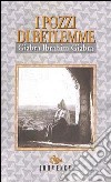 I pozzi di Betlemme libro di Giabra Ibrahim G. Camera D'Afflitto I. (cur.)