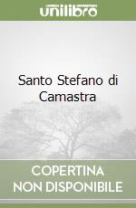 Santo Stefano di Camastra libro