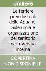 Le ferriere preindustriali delle Apuane. Siderurgia e organizzazione del territorio nella Versilia interna libro