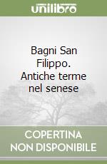 Bagni San Filippo. Antiche terme nel senese libro