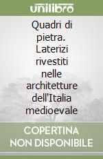 Quadri di pietra. Laterizi rivestiti nelle architetture dell'Italia medioevale libro