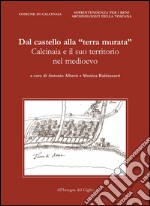 Dal castello alla «terra murata». Calcinaia e il suo territorio nel Medioevo libro