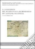 La collezione del Museo civico archeologico di Castelfranco Emilia libro