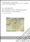 La collezione del Museo civico archeologico di Castelfranco Emilia libro