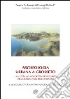 Archeologia urbana a Grosseto: La città nel contesto geografico della bassa valle dell'Ombrone-Edizione degli scavi urbani 1998-2005 libro