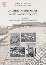 Chiese e insediamenti nei secoli di formazione dei paesaggi medievali della Toscana tra V e X secolo. Atti del Seminario (San Giovanni d'Asso-Montisi, novembre 2006) libro