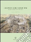 Dieci anni di ricerche a Castel di Pietra. Edizione degli scavi (1997-2007) libro