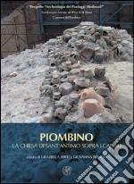 Piombino. La chiesa di Sant'Antimo sopra i canali. Ceramiche e architetture per la lettura archeologica di un abitato medievale e del suo porto libro