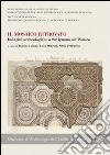 Il mosaico ritrovato. Indagini archeologiche a Savignano sul Panaro libro