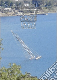 Bollettino dell'associazione IASOS di Caria (2015). Vol. 21 libro