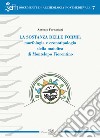La sostanza delle forme: morfologia e cronotipologia della maiolica di Montelupo Fiorentino libro