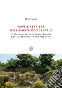 Cave e petriere nell'Amiata occidentale. Lo sfruttamento delle risorse lapidee per la produzione edilizia medievale libro