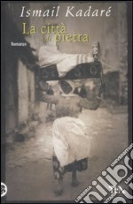 La città di pietra libro