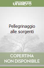 Pellegrinaggio alle sorgenti libro