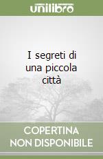 I segreti di una piccola città libro