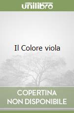 Il Colore viola libro