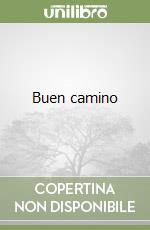 Buen camino libro