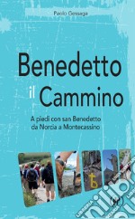 Benedetto il cammino. A piedi con san Benedetto da Norcia a Montecassino