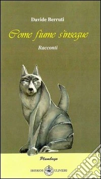 Come fiume d'insegue libro