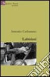 Labirinti libro di Cerbarano Antonio