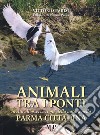 Animali tra i ponti. Invito all'osservazione della natura nella Parma cittadina libro di Parisi Vittorio