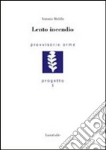 Lento incendio libro